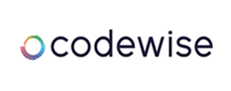 Loga AI NG Past Codevise